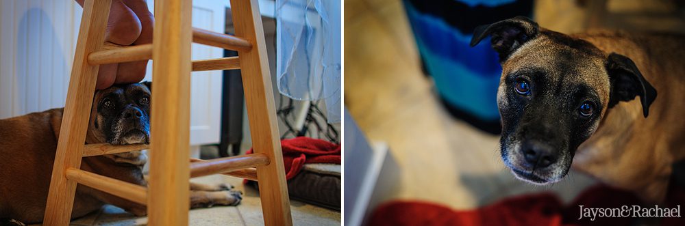 Wedding Photographer in the Outer Banks, Jayson and Rachael Photography