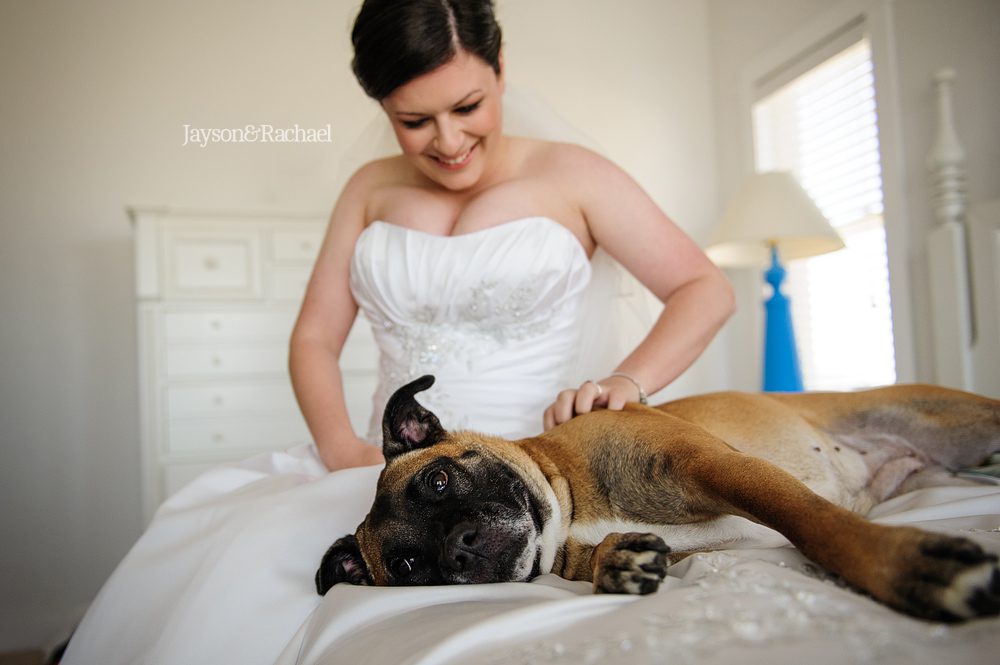 Bride with her best dog, Best dog weddings, Jayson and Rachael Photography
