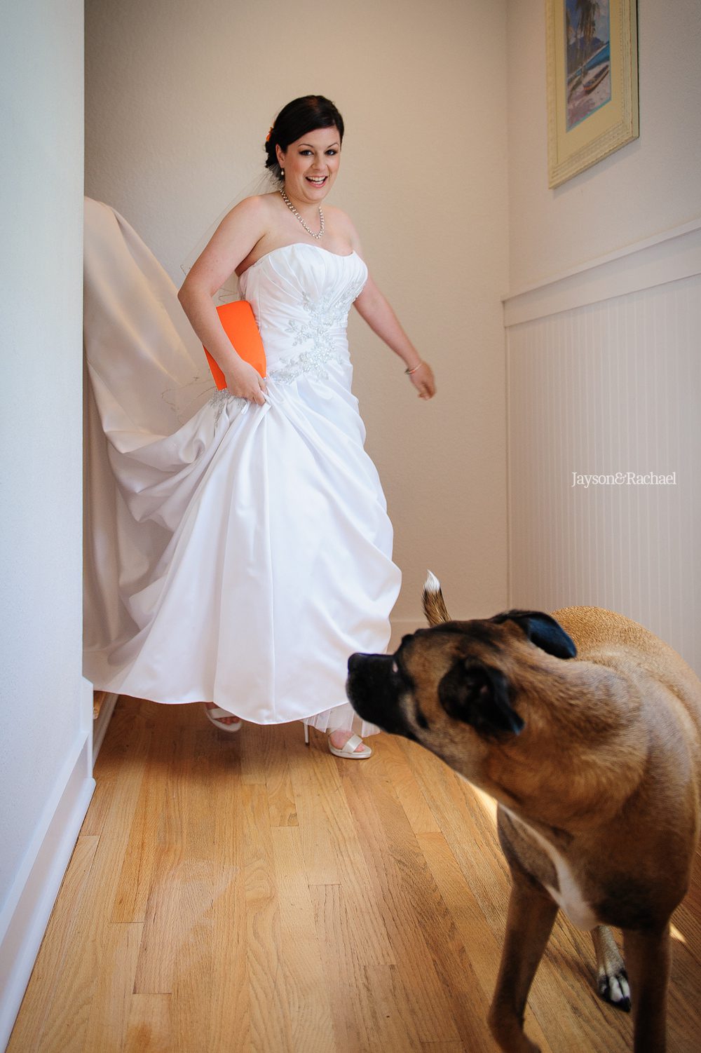 Bride with her best dog, Best dog weddings, Jayson and Rachael Photography