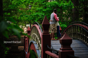 Where to pop the question at William and Mary in Williamsburg, The Crim Dell Bridge