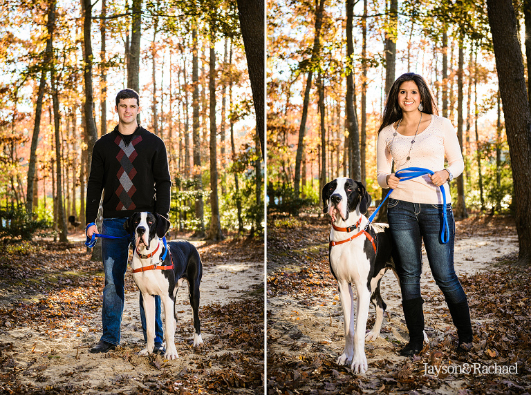 Family portraits with big dogs at waller mill park in Williamsburg