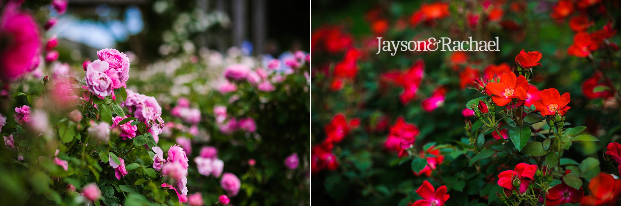 Lauren and Chris' Lewis Ginter Botanical Garden Wedding